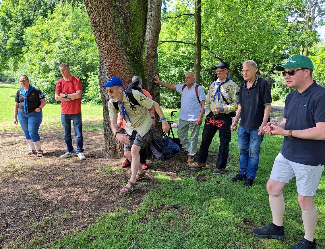 Bild im Park auf einer Wiese an einem großen Baum: 8 Personen blicken in eine Richtung. Eine Person hat gerade eine Boule-Kugel geworfen. Die anderen verfolgen die Kugel mit ihren Blicken. Zwei Personen tragen eine beige-farbene Pfadfinderkluft. Mehrere Personen tragen ein blaues Halstuch.